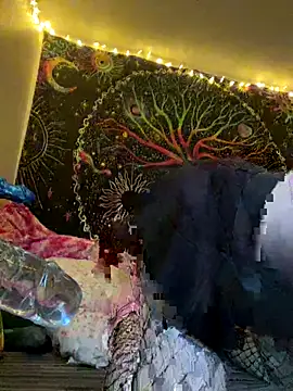 VickPicsVermillion online show from 11-21-25, 11:36