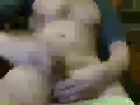 Snapshot of italian_max_sex chatting on 11-21-25, 11:25 italian max sex online show from 11-21-25, 11:25