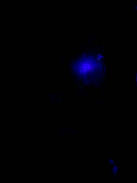 johnboones10 online show from 10-22-25, 09:42