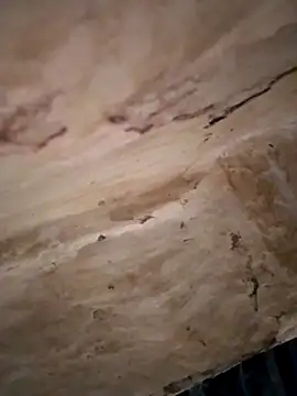 Snapshot of Sexy_hot66 chatting on 09-16-25, 12:55 Sexy hot66 online show from 09-16-25, 12:55