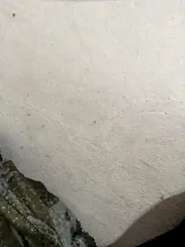 Snapshot of Marianasapequinha chatting on 09-15-25, 06:57 Marianasapequinha online show from 09-15-25, 06:57