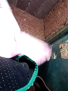 Rashili jaan online show from 02-04-26, 04:35