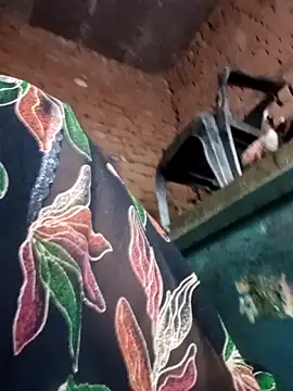 Rashili jaan online show from 02-11-26, 03:39