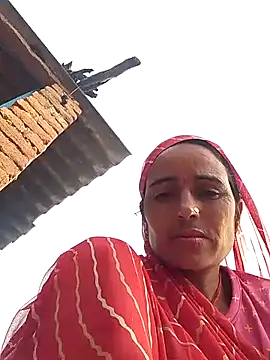 Jalebi bay online show from 10-15-25, 02:22