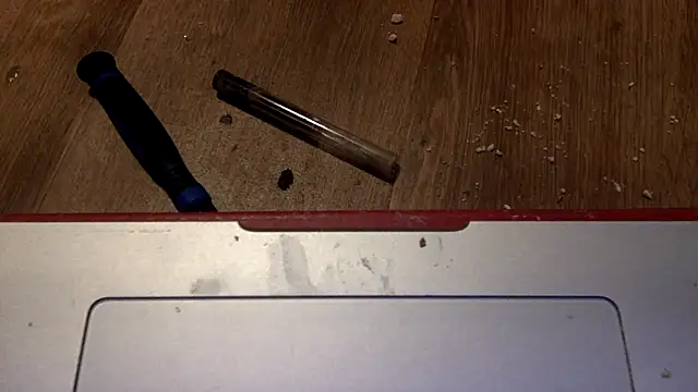 edger4lif3 online show from 09-12-25, 05:24