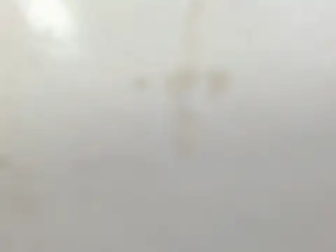 Penelopee Rouse online show from 10-20-25, 07:25