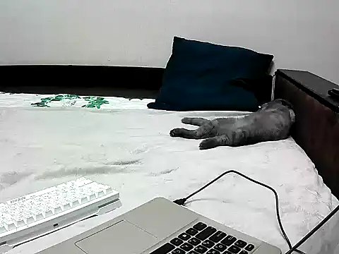 black lany online show from 09-22-25, 02:41