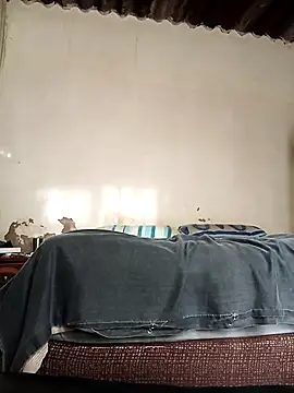 average price online show from 10-08-25, 04:21