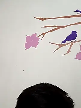 DavidVergagigante420 online show from 11-22-25, 05:50