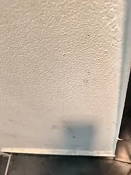 penchis90 online show from 12-14-25, 02:22