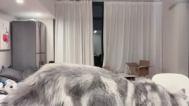 ZhaoZhao-ZM online show from 10-11-25, 02:15