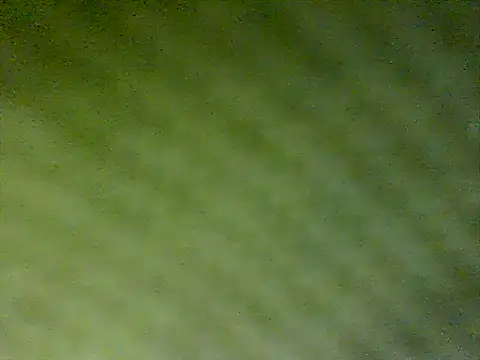 Snapshot of honestglacier9 chatting on 10-17-25, 07:27 honestglacier9 online show from 10-17-25, 07:27