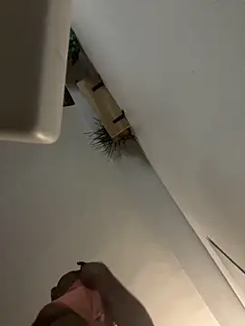 Snapshot of littyleesh1 chatting on 04-14-26, 04:29 littyleesh1 online show from 04-14-26, 04:29