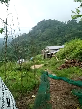 keobong-00 online show from 09-14-25, 02:44