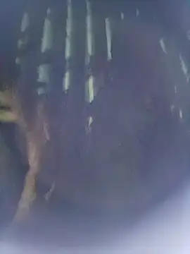 8133vaibhavh online show from 10-09-25, 02:48