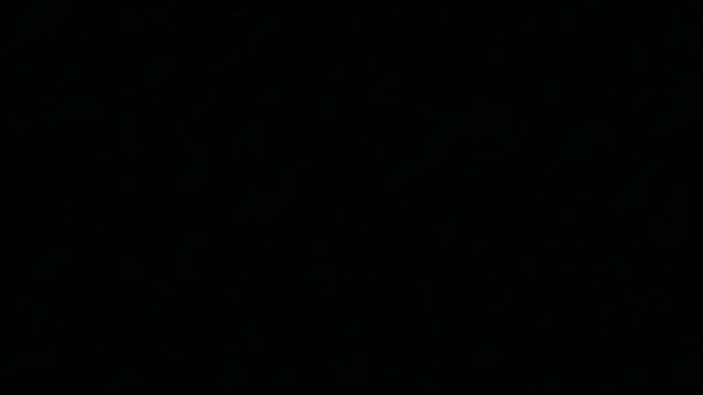 Pyrelissa online show from 12-04-25, 06:34