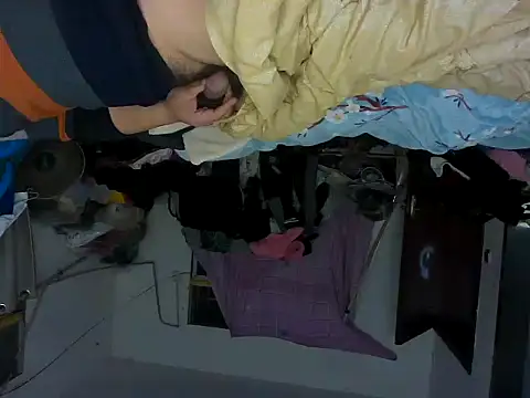 taopiaopiao online show from 11-22-25, 07:57