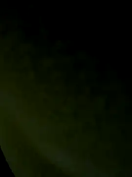 Wild-Nayra online show from 10-19-25, 07:53