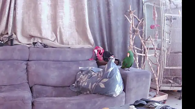 Snapshot of Alexis21821 chatting on 11-13-25, 07:18 Alexis21821 online show from 11-13-25, 07:18