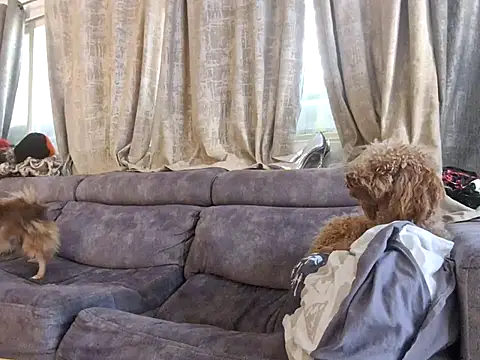 Snapshot of Alexis21821 chatting on 12-03-25, 07:05 Alexis21821 online show from 12-03-25, 07:05