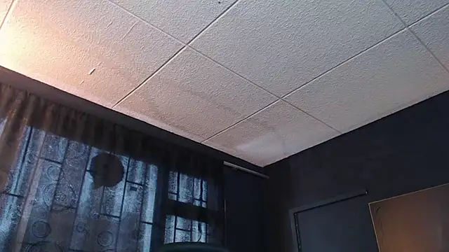 RichardMilleer online show from 10-31-25, 02:07