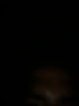 RangingWarranty online show from 04-03-26, 10:35