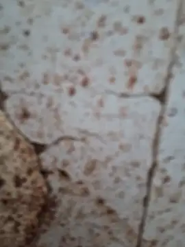 goodzx2 online show from 09-16-25, 12:50