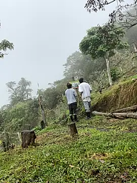 sky-wolves online show from 10-11-25, 03:43