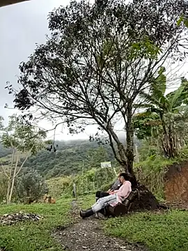 sky-wolves online show from 10-18-25, 04:19