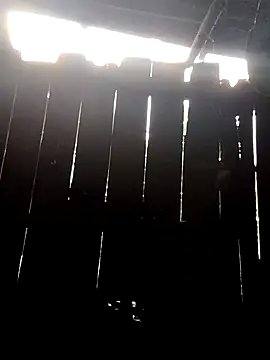 donna-bae online show from 10-10-25, 11:04