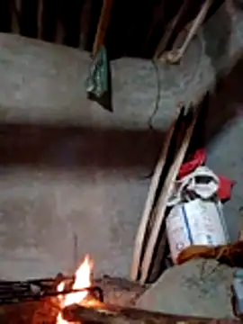 donna-bae online show from 11-18-25, 11:37