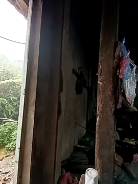 Snapshot of tulipsexy chatting on 10-16-25, 12:44 tulipsexy online show from 10-16-25, 12:44