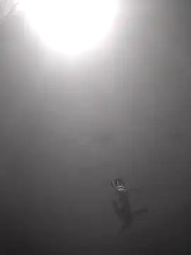 Hott cutgirl online show from 10-16-25, 12:33