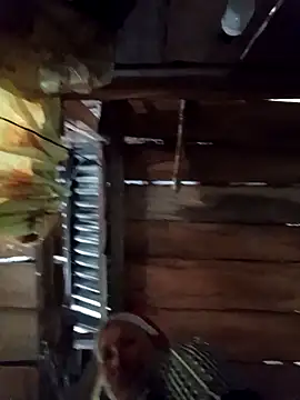 callistra online show from 04-09-26, 04:34