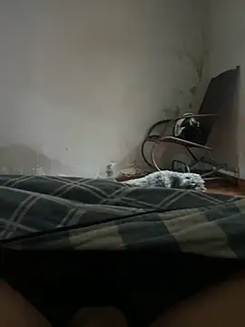 Snapshot of sambergSILVa chatting on 11-08-25, 12:38 sambergSILVa online show from 11-08-25, 12:38