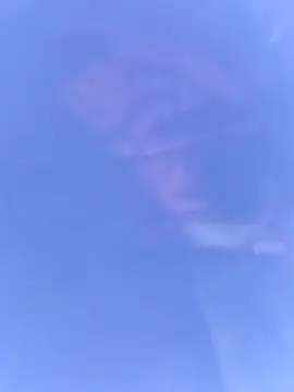 pussybebi online show from 03-16-26, 06:12