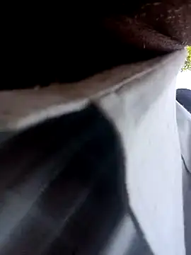 Snapshot of ipvk chatting on 03-02-26, 05:41 ipvk online show from 03-02-26, 05:41