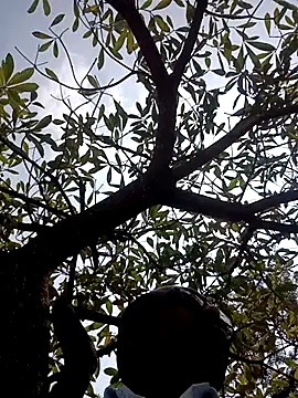 Snapshot of ipvk chatting on 03-02-26, 07:15 ipvk online show from 03-02-26, 07:15