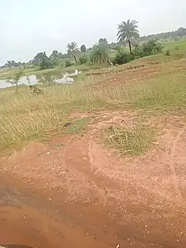 Snapshot of AgitatedStrip9 chatting on 09-22-25, 02:35 AgitatedStrip9 online show from 09-22-25, 02:35