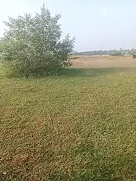 Snapshot of AgitatedStrip9 chatting on 10-01-25, 02:17 AgitatedStrip9 online show from 10-01-25, 02:17