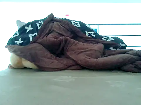 Snapshot of loveninja chatting on 11-08-25, 06:13 loveninja online show from 11-08-25, 06:13