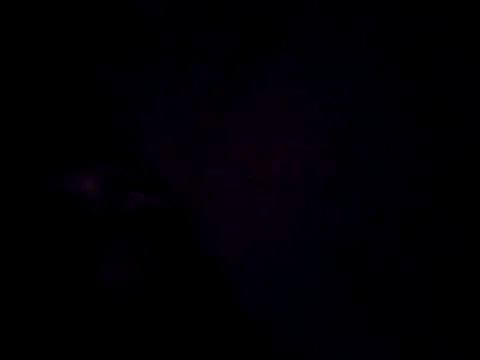ese Valentin rico online show from 10-08-25, 10:13