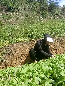 Snapshot of Norah-h chatting on 10-30-25, 02:24 Norah-h online show from 10-30-25, 02:24