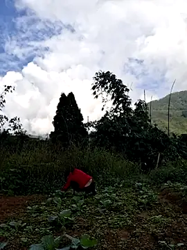 diamond-- online show from 11-15-25, 01:36