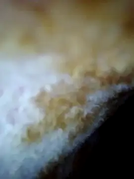 alone boy802 online show from 10-30-25, 06:26