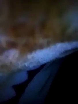 alone boy802 online show from 11-05-25, 12:54