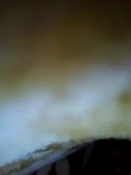 alone boy802 online show from 11-06-25, 04:19