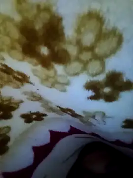 alone boy802 online show from 11-08-25, 07:30