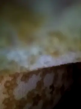 alone boy802 online show from 11-09-25, 01:15