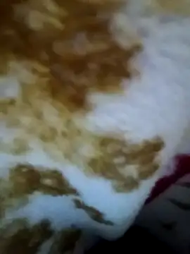 alone boy802 online show from 11-09-25, 04:49